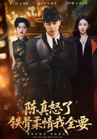 陈真怒了铁骨柔情我全要在线观看