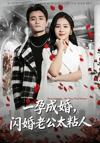 一孕成婚，闪婚老公太粘人在线观看