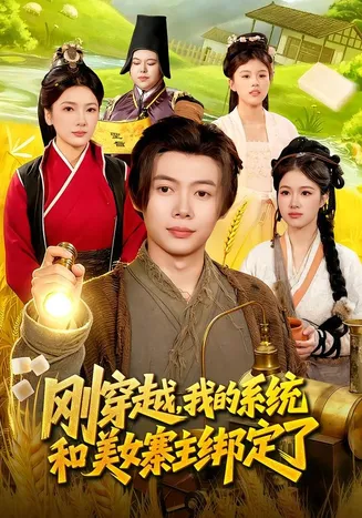 刚穿越,我的系统和美女寨主绑定了在线观看