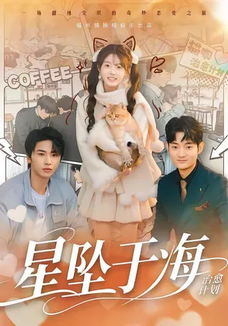 星坠于海在线观看