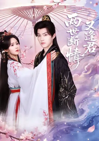两世断情又逢君在线观看