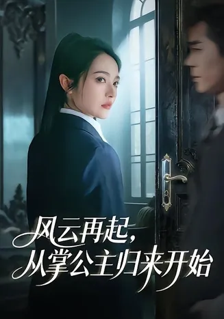 风云再起,从掌公主归来开始在线观看