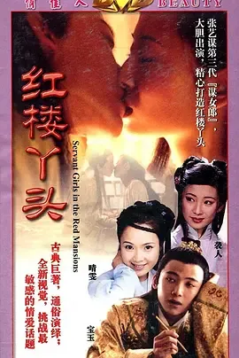 红楼丫头在线观看
