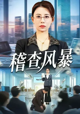 稽查风暴在线观看