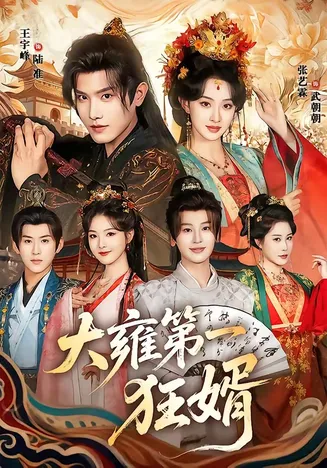 大雍第一狂婿在线观看