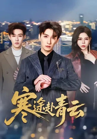 寒途赴青云在线观看