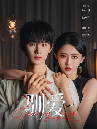 驯爱在线观看