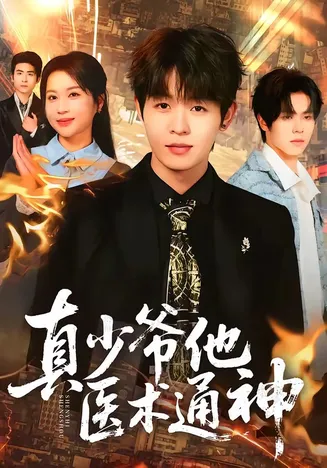 真少爷他医术通神在线观看