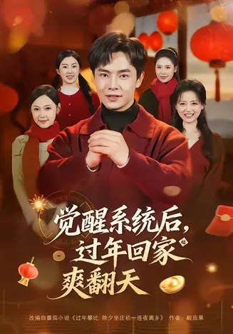 觉醒系统后，过年回家爽翻天在线观看
