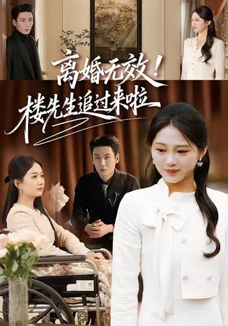 离婚无效!楼先生追过来啦在线观看