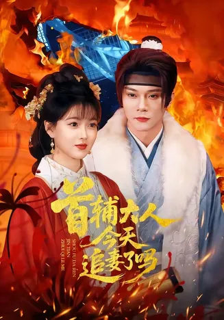 首辅大人今天追妻了吗在线观看