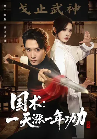 国术，一天涨一年功力在线观看