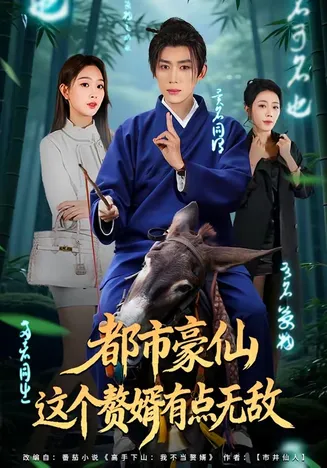 都市豪仙,这个赘婿有点无敌在线观看