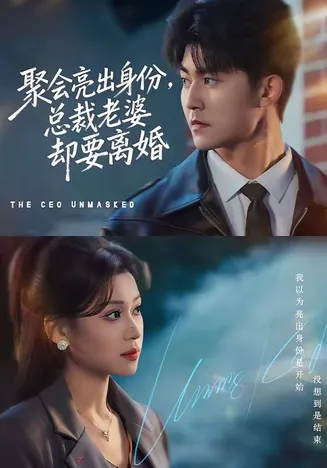 聚会亮出身份,总裁老婆却要离婚在线观看