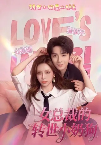 女总裁的转世小奶狗在线观看