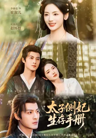 太子侧妃生存手册在线观看