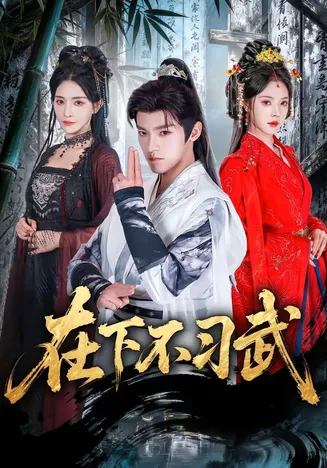 在下不习武在线观看