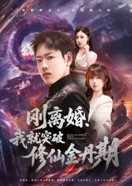 刚离婚!我就突破修仙金丹期在线观看