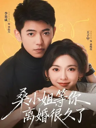 桑小姐，等你离婚很久了在线观看