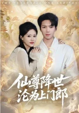 仙尊降世沦为上门郎在线观看