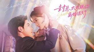 封总,太太跟你离婚很久了在线观看