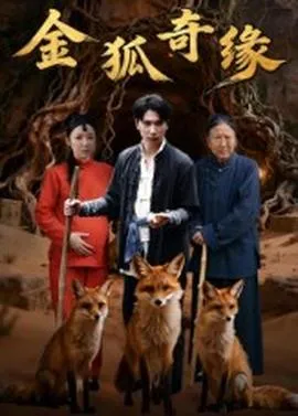 金狐奇缘在线观看