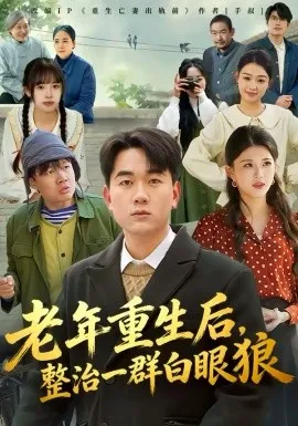老年重生后,整治一群白眼狼在线观看