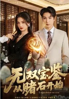无双宝鉴,从赌石开始在线观看