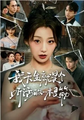 我天生就是个听话的一根筋在线观看