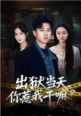出狱当天，你惹我干嘛？在线观看