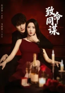 致命同谋在线观看