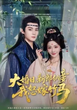 大婚日,新郎纳妾我怒嫁竹马在线观看