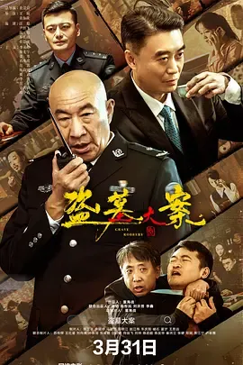 盗墓大案 追捕行动在线观看