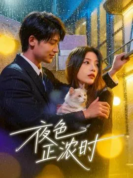 夜色正浓时在线观看