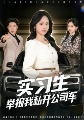 实习生举报我私开公司车在线观看