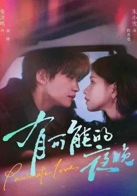 有可能的夜晚在线观看