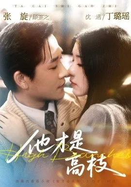 他才是高枝在线观看