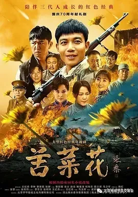 苦菜花在线观看