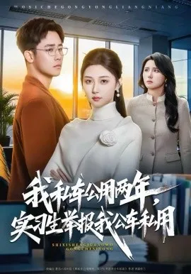 我私车公用两年，实习生举报我公车私用在线观看