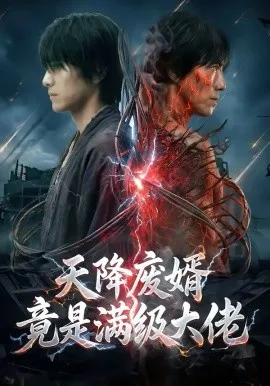 天降废婿竟是满级大佬在线观看