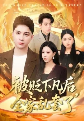 被贬下凡后全家乱套了在线观看
