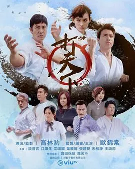 打天下国语在线观看