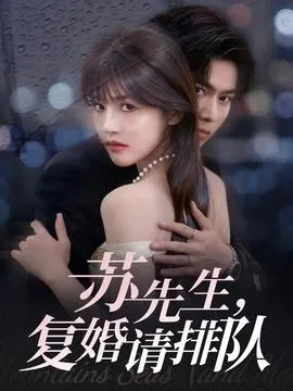 苏先生，复婚请排队在线观看