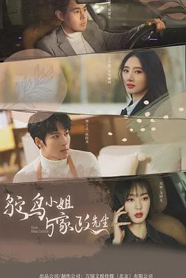 鸵鸟小姐与家政先生在线观看