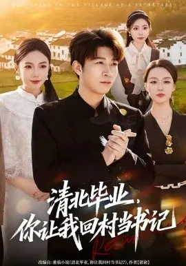 清北毕业，你让我回村当书记在线观看