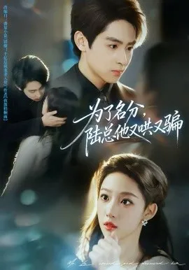 为了名分，陆总他又哄又骗在线观看