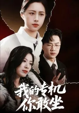 我的专机你敢坐在线观看