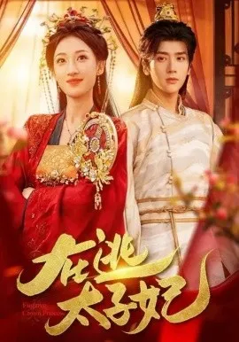 在逃太子妃在线观看