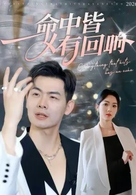 命中皆有回响在线观看