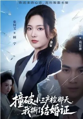 撞破小三产检那天，我撕了结婚证在线观看